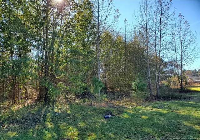 Photo 1 of Land for sale at 220 & 217 Kendall Ct, Raeford, NC 28376 | MLS# 761141 | Listing updated on 2026-05-08
