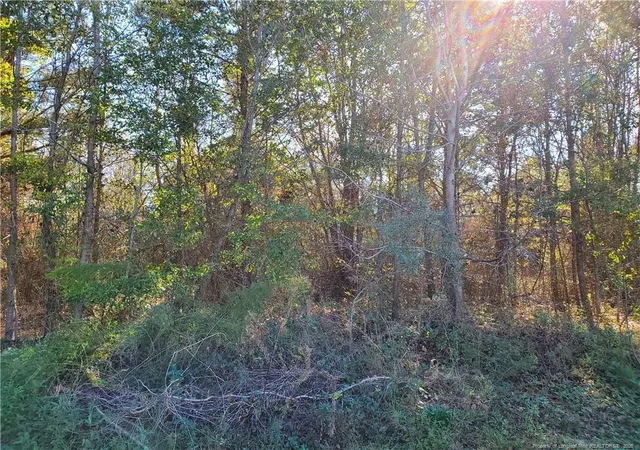 Photo 2 of Land for sale at 220 & 217 Kendall Ct, Raeford, NC 28376 | MLS# 761141 | Listing updated on 2026-05-08