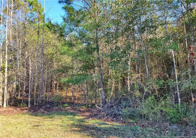 Photo 4 of Land for sale at 220 & 217 Kendall Ct, Raeford, NC 28376 | MLS# 761141 | Listing updated on 2026-05-08