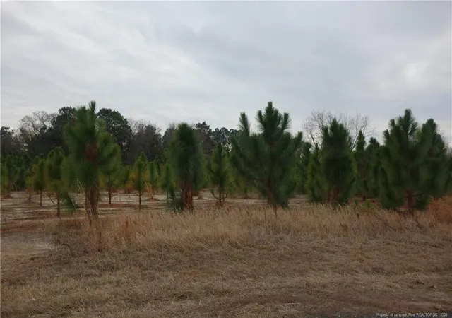 Photo 1 of Land for sale at Lot 41 Stuarts Ml Rd, Fairmont, NC 28340 | MLS# 756453 | Listing updated on 2026-02-18