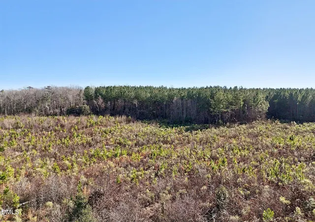Photo 6 of Land for sale at 0 Dewitt Smith Rd, Pittsboro, NC 27312 | MLS# 10141773 | Listing updated on 2026-02-11