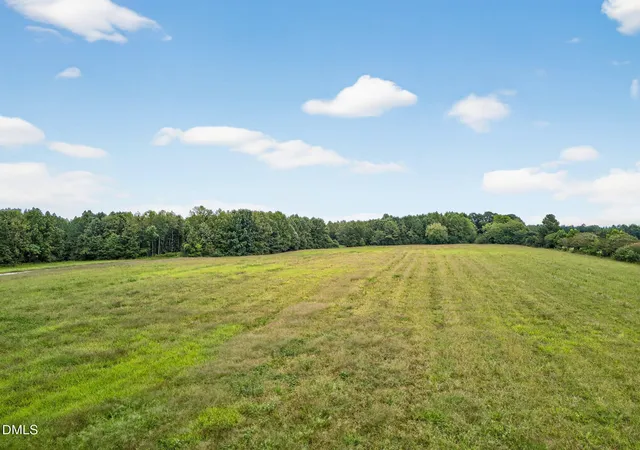 4th image of 0 Braxton Ridge Ln, Spring Hope, NC 27882 | MLS# 10132612