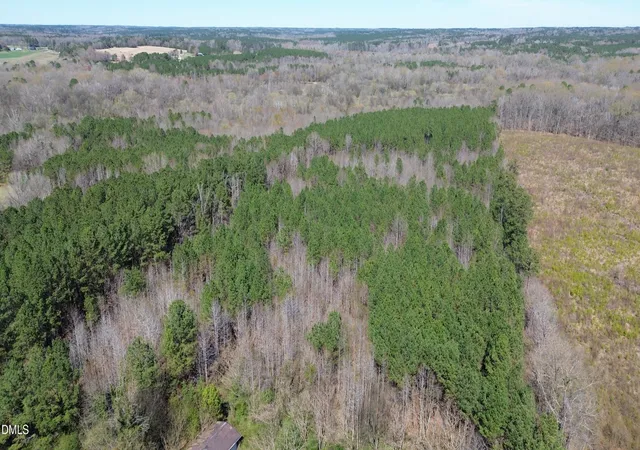 Photo 10 of Land for sale at 299 Hodges Rd, Franklinton, NC 27525 | MLS# 10154705 | Listing updated on 2026-03-23