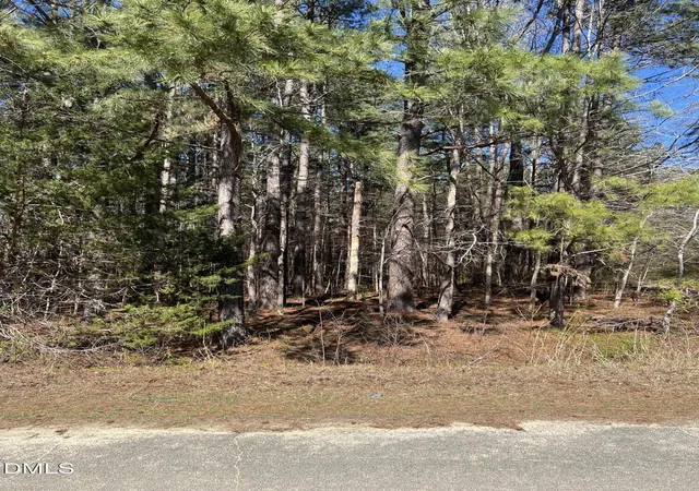 Photo 2 of Land for sale at 299 Hodges Rd, Franklinton, NC 27525 | MLS# 10154705 | Listing updated on 2026-03-23