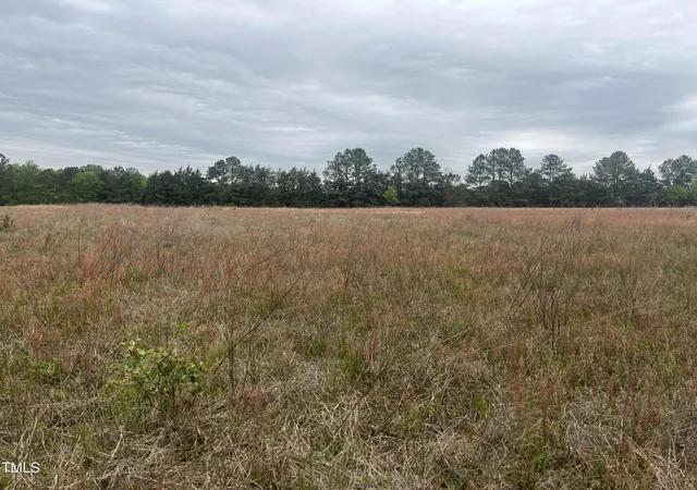 Photo 1 of Land for sale at 0 Ml Crk Church Rd, Newton Grove, NC 28366 | MLS# 10103139 | Listing updated on 2026-05-06