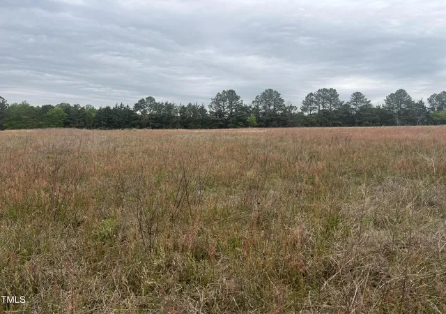 Photo 2 of Land for sale at 0 Ml Crk Church Rd, Newton Grove, NC 28366 | MLS# 10103139 | Listing updated on 2026-05-06