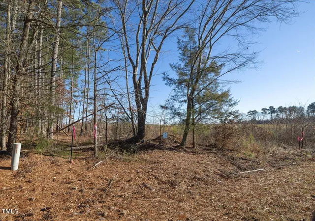 Photo 10 of Land for sale at 00 Roberts Chapel Rd, Goldston, NC 27252 | MLS# 10163645 | Listing updated on 2026-04-30