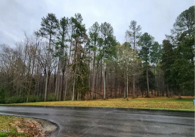 Photo 5 of Land for sale at 100 Brk Green Ln, Pittsboro, NC 27312 | MLS# 10139416 | Listing updated on 2026-01-26