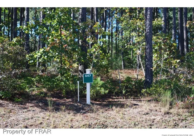 Photo 2 of Land for sale at 125 Broadlake (647) Ln, Spring Lake, NC 28390 | MLS# 734176 | Listing updated on 2025-12-17
