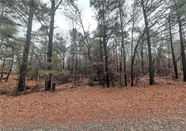 Photo 1 of Land for sale at 1211 Laurel Cir, Vass, NC 28394 | MLS# 754765 | Listing updated on 2025-12-18