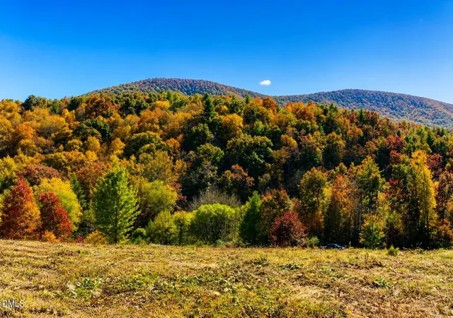 Photo 1 of Land for sale at 488 Dewitt Rd, Glade Valley, NC 28627 | MLS# 10164285 | Listing updated on 2026-05-05