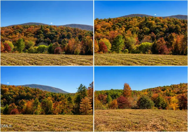 Photo 2 of Land for sale at 488 Dewitt Rd, Glade Valley, NC 28627 | MLS# 10164285 | Listing updated on 2026-05-05
