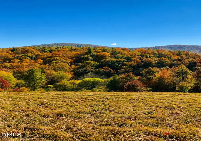 Photo 3 of Land for sale at 488 Dewitt Rd, Glade Valley, NC 28627 | MLS# 10164285 | Listing updated on 2026-05-05