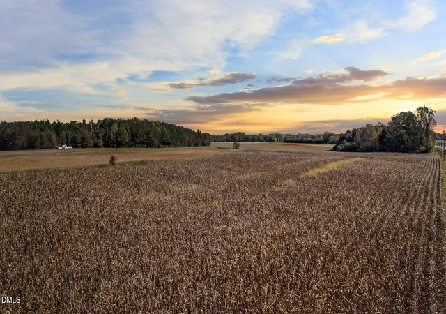 Photo 1 of Land for sale at 0 Nc 43, Whitakers, NC 27891 | MLS# 10131788 | Listing updated on 2026-04-20