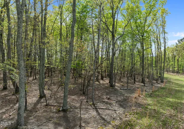 Photo 6 of Land for sale at 0 Howard Vaughan Rd, Rougemont, NC 27572 | MLS# 10159651 | Listing updated on 2026-05-06