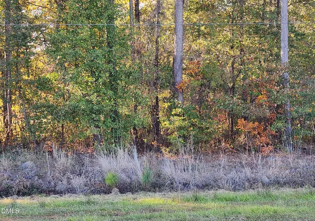 Photo 6 of Land for sale at 0 Cedar Grv Church Rd, Saint Pauls, NC 28384 | MLS# 10131931 | Listing updated on 2025-11-07