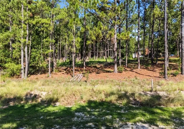 Photo 1 of Land for sale at 180 Richmond St, West End, NC 27376 | MLS# 747441 | Listing updated on 2026-01-06