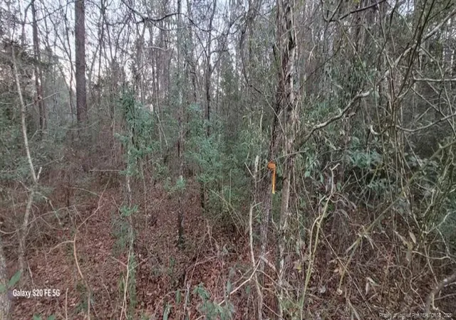 Photo 1 of Sale Pending at 0 Melie Lee Rd, Fayetteville, NC 28312 | MLS# 756446 | Listing updated on 2026-04-15