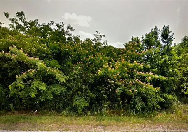 Photo 2 of Land for sale at Tbd S Robeson Rd, Rowland, NC 28383 | MLS# 753612 | Listing updated on 2025-11-19