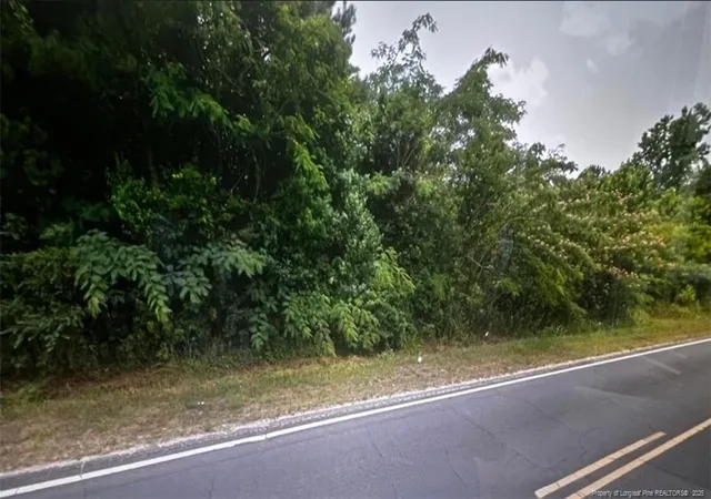 Photo 4 of Land for sale at Tbd S Robeson Rd, Rowland, NC 28383 | MLS# 753612 | Listing updated on 2025-11-19