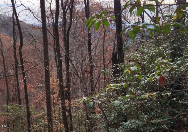 Photo 1 of Land for sale at 0 Bear Cvs Cir, Bryson City, NC 28713 | MLS# 10154972 | Listing updated on 2026-03-27