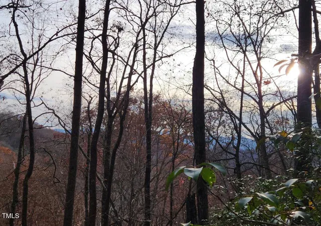 Photo 2 of Land for sale at 0 Bear Cvs Cir, Bryson City, NC 28713 | MLS# 10154972 | Listing updated on 2026-03-27