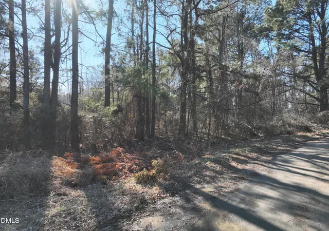 Photo 2 of Land for sale at 816 Mitchell Ave, Franklinton, NC 27525 | MLS# 10146238 | Listing updated on 2026-04-24