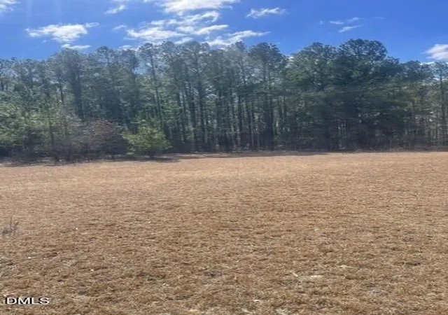 Photo 2 of Sale Pending at 0 N Horace Walters Rd, Raeford, NC 28376 | MLS# 10155914 | Listing updated on 2026-04-12