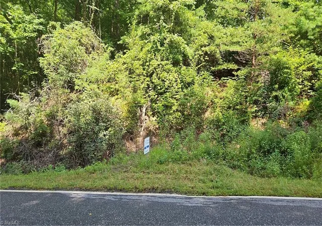 Photo 3 of Land for sale at 0 Cane Creek Church Rd, Mc Grady, NC 28649 | MLS# 1233030 | Listing updated on 2026-08-25
