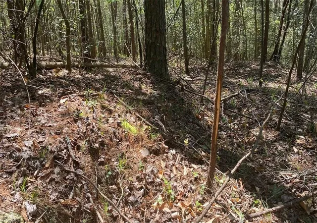 Photo 49 of Land for sale at 000 Nc Hwy 268, Wilkesboro, NC 28697 | MLS# 1229482 | Listing updated on 2026-07-30
