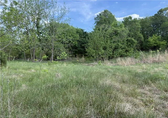 Photo 3 of Land for sale at 2690 Old Mountain Rd, Trinity, NC 27370 | MLS# 1216586 | Listing updated on 2026-08-04