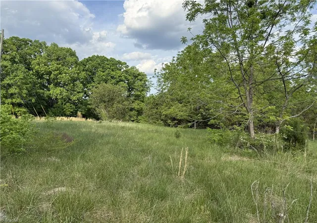 Photo 4 of Land for sale at 2690 Old Mountain Rd, Trinity, NC 27370 | MLS# 1216586 | Listing updated on 2026-08-04
