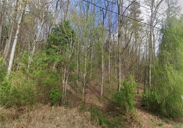 Homes for sale in North Wilkesboro, NC | Tbd Laurel Mountain Rd, North Wilkesboro, NC 28659 | MLS# 1225329