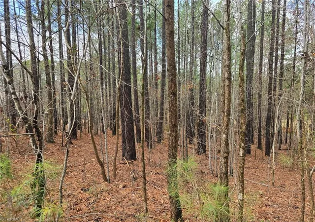 Photo 1 of Sale Pending at 225 Cvs Wood Dr, Denton, NC 27239 | MLS# 1227431 | Listing updated on 2026-09-03