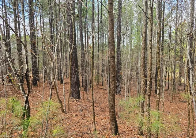 Photo 2 of Sale Pending at 225 Cvs Wood Dr, Denton, NC 27239 | MLS# 1227431 | Listing updated on 2026-09-03
