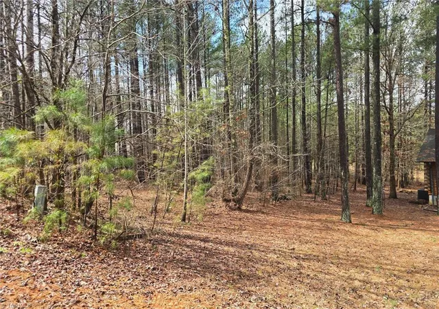 Photo 3 of Sale Pending at 225 Cvs Wood Dr, Denton, NC 27239 | MLS# 1227431 | Listing updated on 2026-09-03