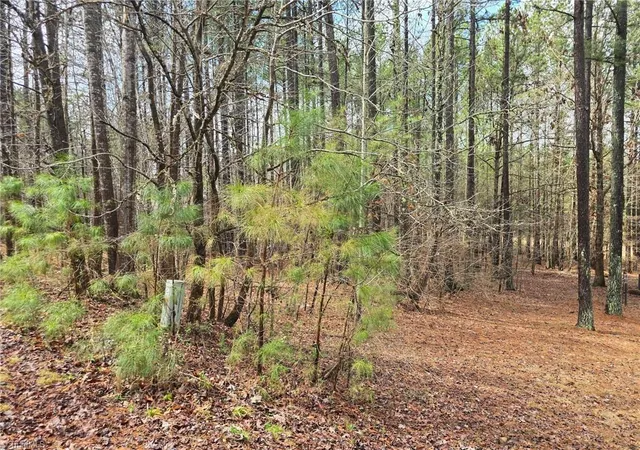 Photo 3 of Sale Pending at 225 Cvs Wood Dr, Denton, NC 27239 | MLS# 1227431 | Listing updated on 2026-09-03