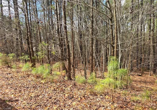 Photo 4 of Sale Pending at 225 Cvs Wood Dr, Denton, NC 27239 | MLS# 1227431 | Listing updated on 2026-09-03