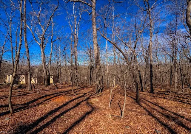 5th image of 2171 Sierra Trace Rd, Denton, NC 27239 | MLS# 1213200