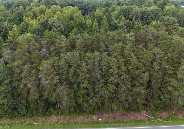 4th image of 0 N Nc Hwy 87, Elon, NC 27244 | MLS# 1229433