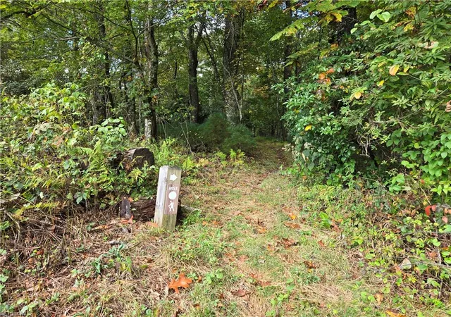 Photo 23 of Land for sale at Tbd Blue Ridge Church Rd, Purlear, NC 28665 | MLS# 1198666 | Listing updated on 2025-10-16