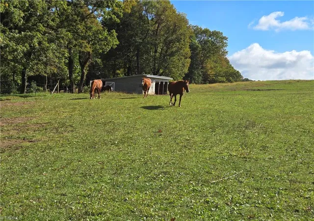 Photo 3 of Land for sale at Tbd Blue Ridge Church Rd, Purlear, NC 28665 | MLS# 1198666 | Listing updated on 2025-10-16