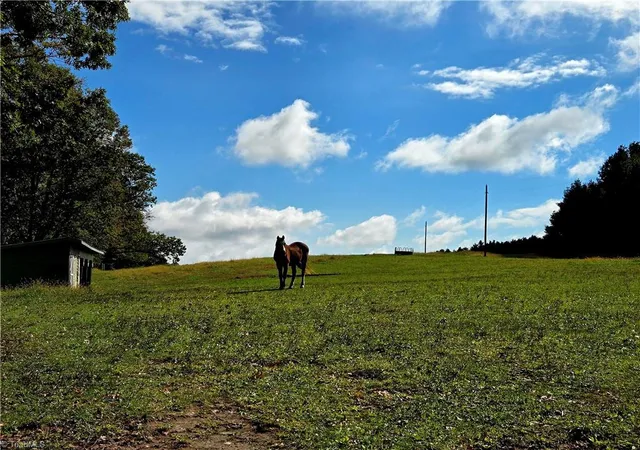 Photo 4 of Land for sale at Tbd Blue Ridge Church Rd, Purlear, NC 28665 | MLS# 1198666 | Listing updated on 2025-10-16