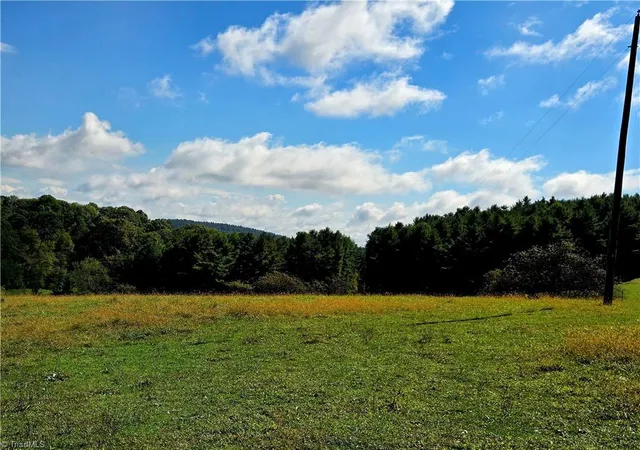 Photo 5 of Land for sale at Tbd Blue Ridge Church Rd, Purlear, NC 28665 | MLS# 1198666 | Listing updated on 2025-10-16