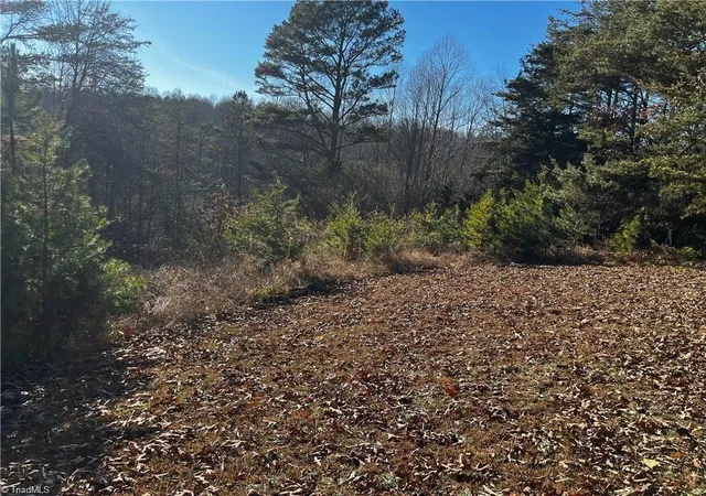 Homes for sale in Cana, VA | 0000 Virgilina Cir, Cana, VA 24317 | MLS# 1205454