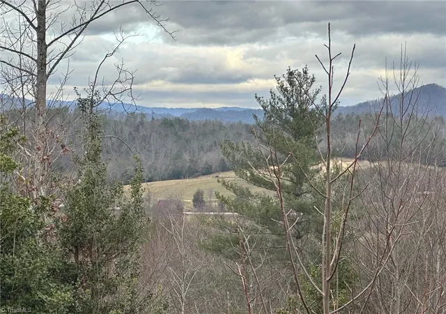 Photo 25 of Land for sale at 2001 Tom Dula Rd, Ferguson, NC 28624 | MLS# 1224748 | Listing updated on 2026-06-17