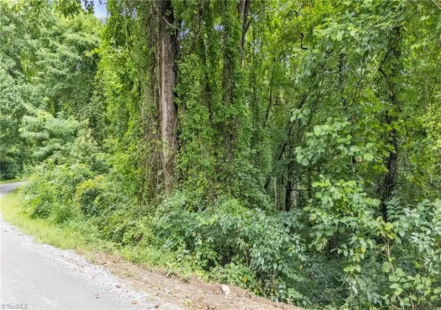 Homes for sale in Thurmond, NC | Tbd N Old Hwy 21, Thurmond, NC 28683 | MLS# 1205146