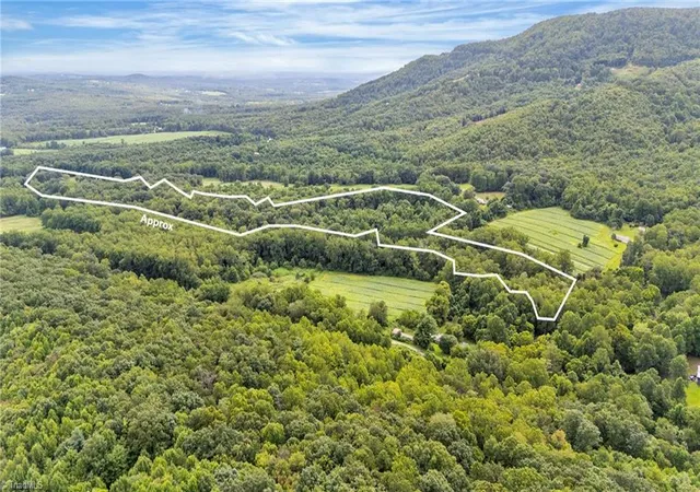 Homes for sale in Thurmond, NC | Tbd N Old Hwy 21, Thurmond, NC 28683 | MLS# 1205146