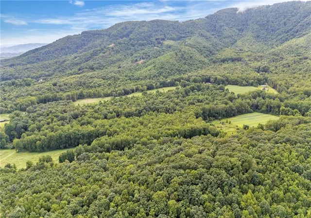 Homes for sale in Thurmond, NC | Tbd N Old Hwy 21, Thurmond, NC 28683 | MLS# 1205146