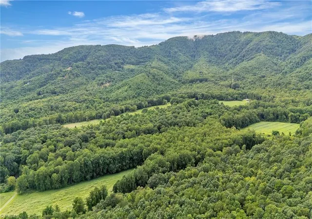 Homes for sale in Thurmond, NC | Tbd N Old Hwy 21, Thurmond, NC 28683 | MLS# 1205146